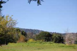Photo Gallery